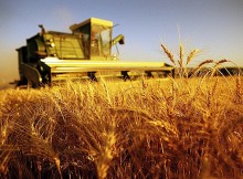 AGRICOLTURA SOCIALE, APREA: UNA BUONA PRATICA DI REGIONE LOMBARDIA