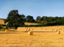 SISTEMA BRESCIA, BECCALOSSI:PRIMA PROVINCIA AGRICOLA D’ITALIA