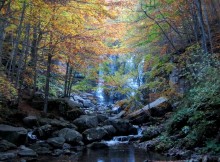 FORESTE DI MONTAGNA PROTAGONISTE ECONOMIA SOSTENIBILE