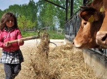 DOMANI A PIANETA LOMBARDIA EVENTO DI FORMAZIONE PER LE ‘FATTORIE DIDATTICHE’