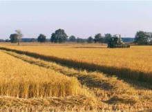 PRESENTATO PATTO AGRICOLTURA MILANESE