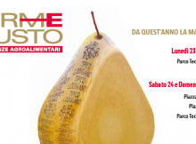 LODI,DOMANI FAVA PRESENTA MISURA PSR A ‘FORME DEL GUSTO – PROFESSIONAL’