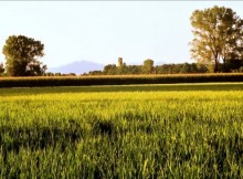 PARCO AGRICOLO SUD, PAROLINI: A BREVE BANDO PER VALORIZZARE SUE ABBAZIE E PERCORSI