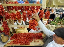 SALONE DEL GUSTO,DOMANI FAVA A ‘ECCELLENZE LOMBARDE A TERRA MADRE’