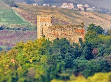 ROCCA DE’GIORGI/PV, DOMANI FAVA VISITA AZIENDA VISTARINO