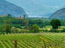 LONATO DEL GARDA/BS, DOMANI FAVA A CONVEGNO SU VITICOLTURA E TERRITORIO BRESCIANO