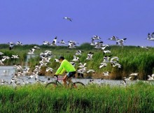 BICI, SORTE: DA VENEZIA A TORINO LUNGO IL PO: LA PISTA ‘VenTo’ SEMPRE PIU’ VICINA