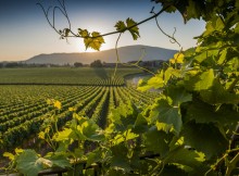 FRANCIACORTA: PIANO D’AREA OK A PIENI VOTI. AL VIA ENTRO ESTATE