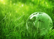 ‘IL VERDE ELEMENTO DI SVILUPPO DI UNA GREEN ECONOMY’